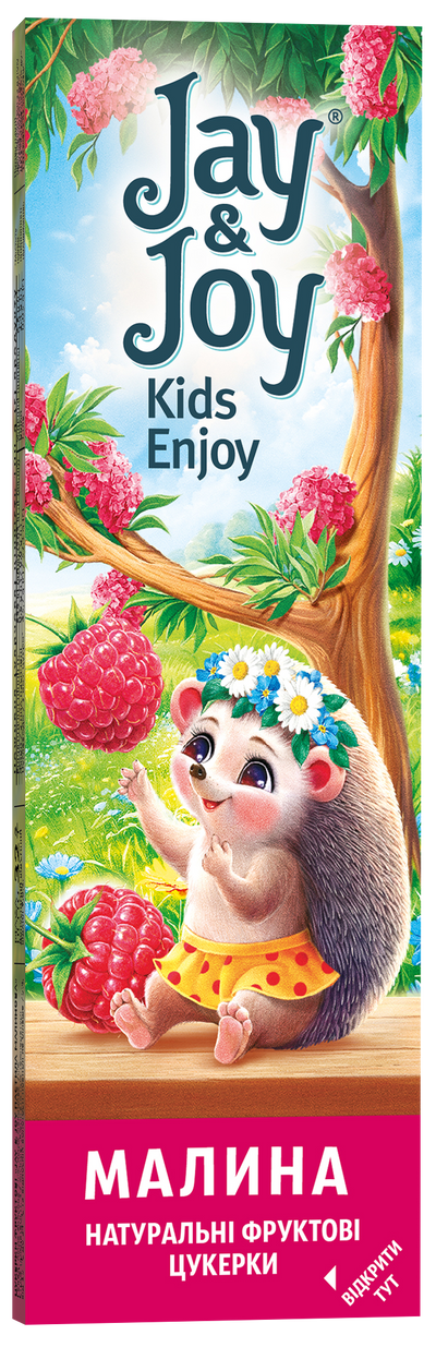Конфеты фруктовые «Jay & Joy Пастила малиновая»