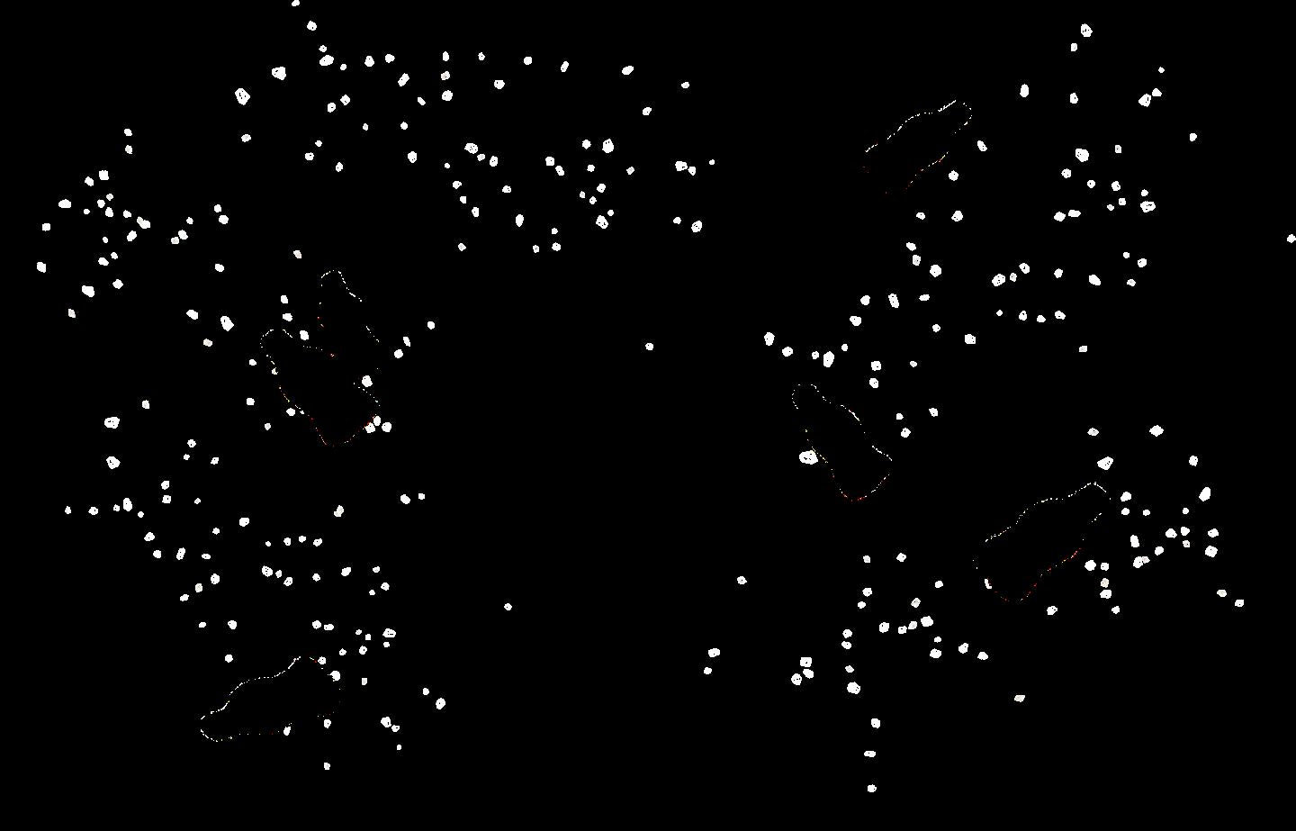 boomi gummi millenium