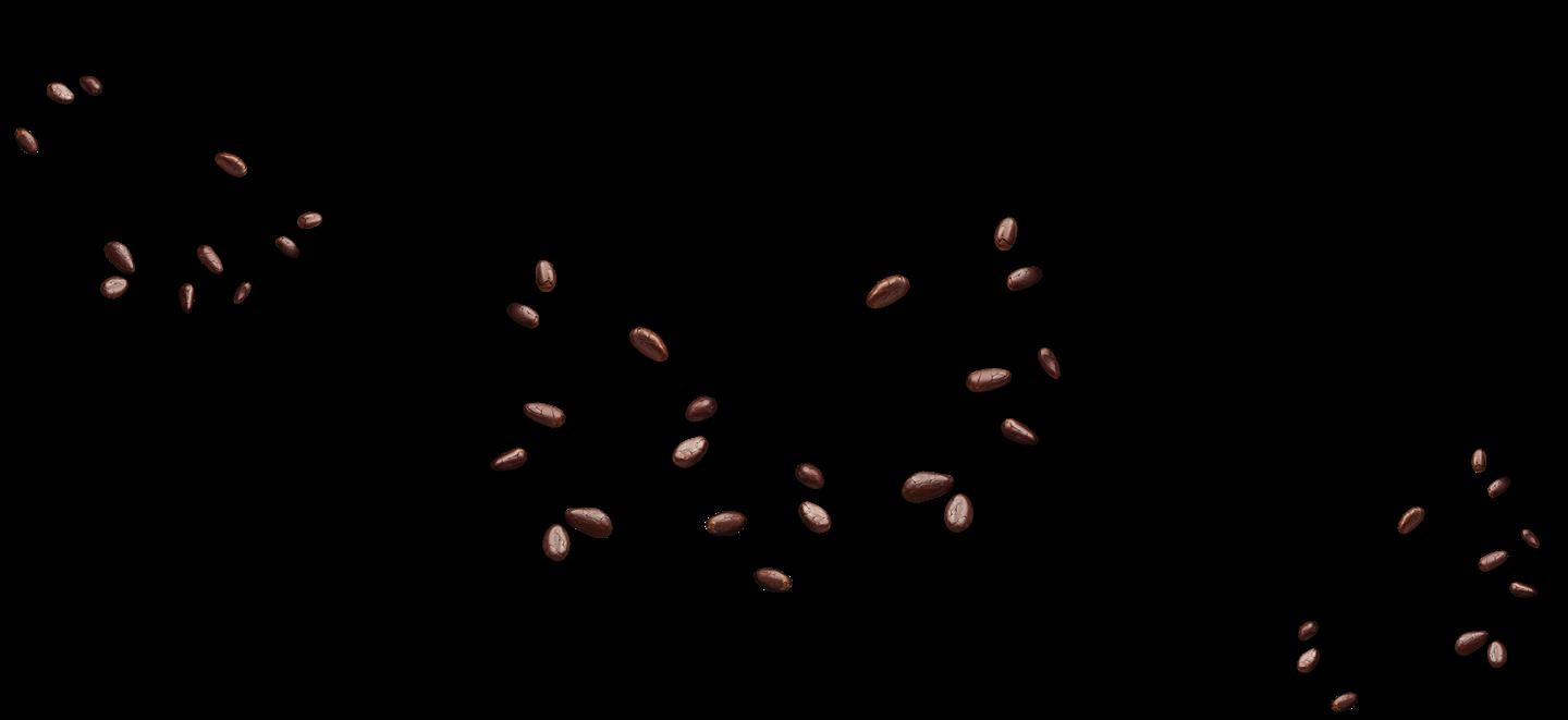 cocoa beans chocolate millenium dark