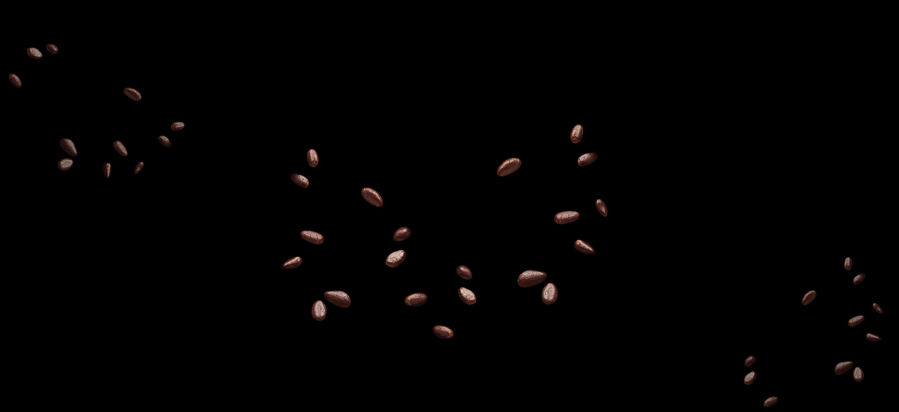 cocoa beans chocolate millenium dark