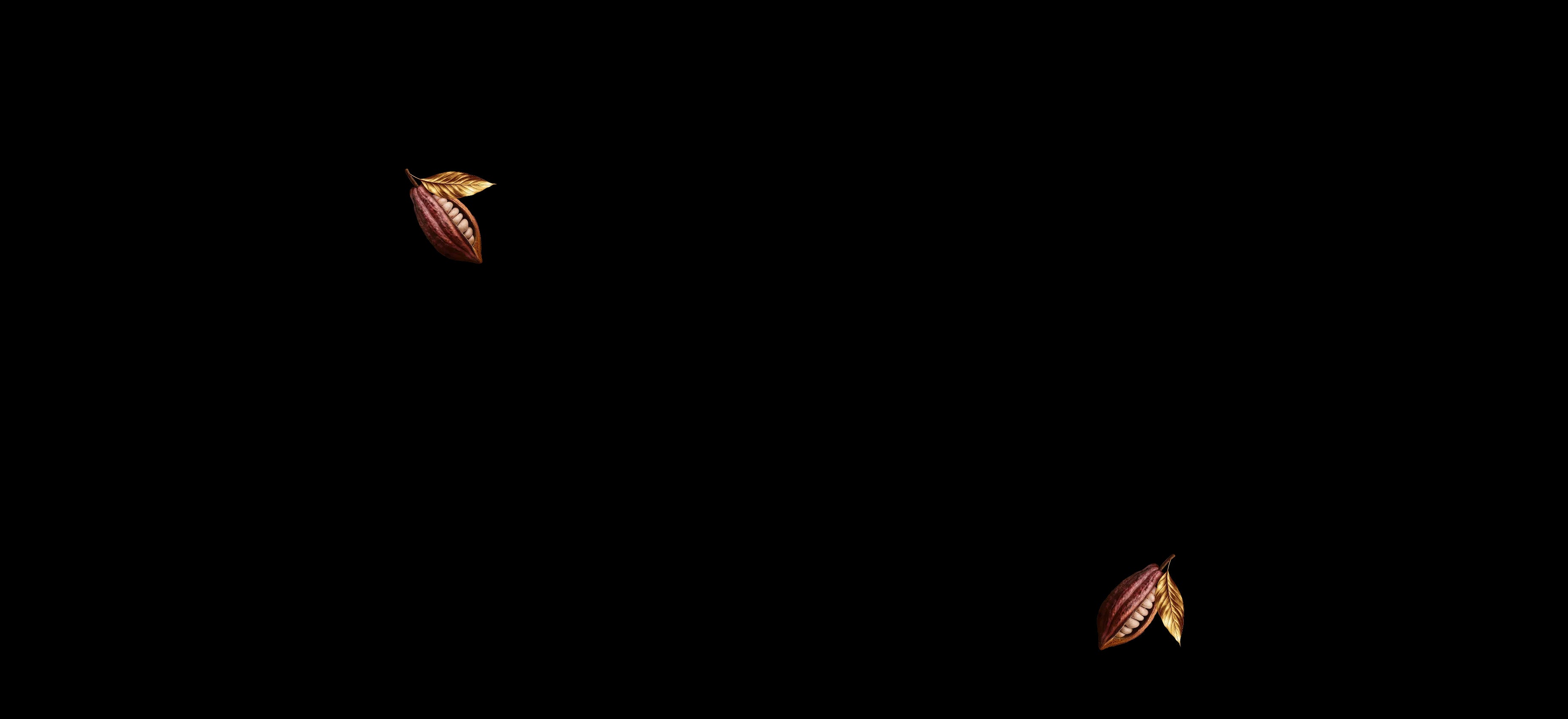 cocoa beans chocolate millenium dark