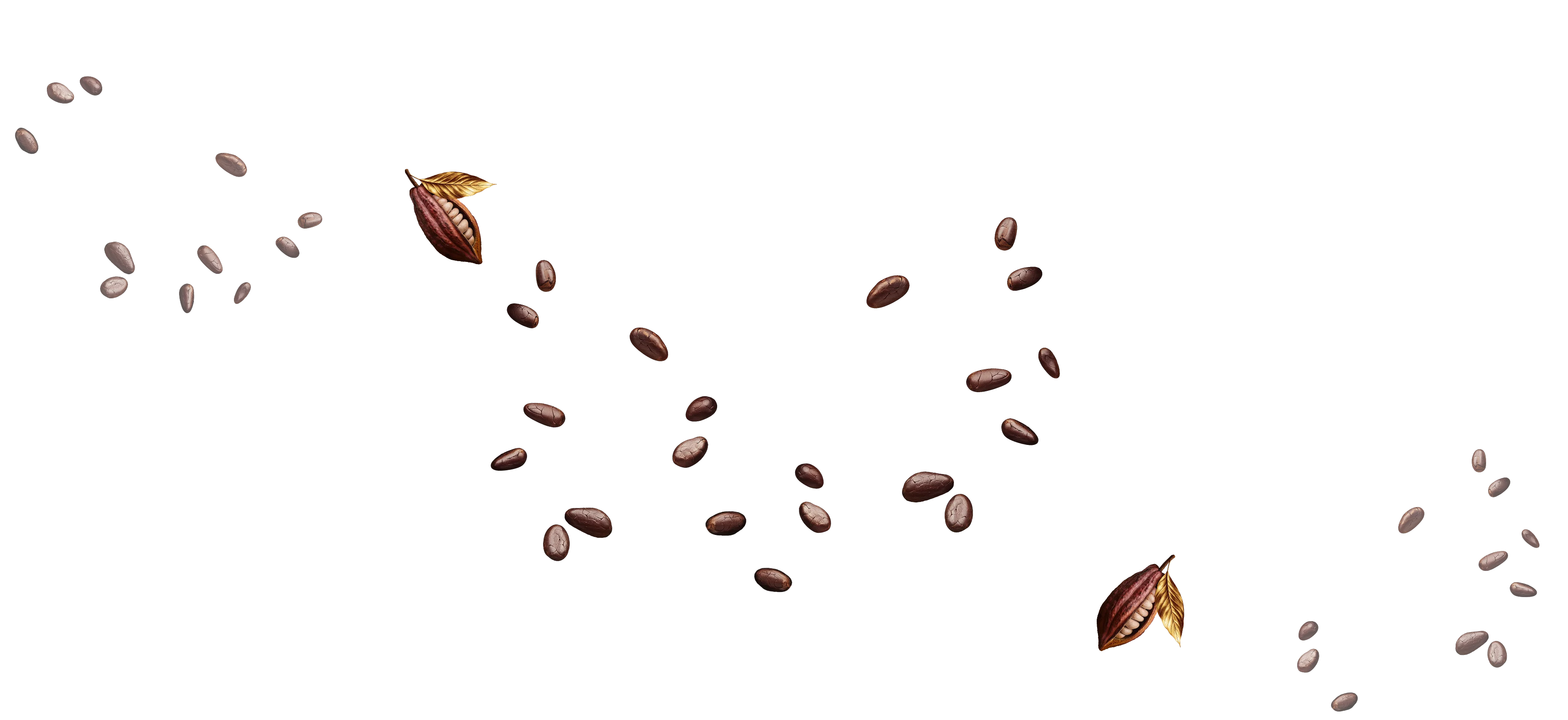cocoa beans chocolate millenium dark